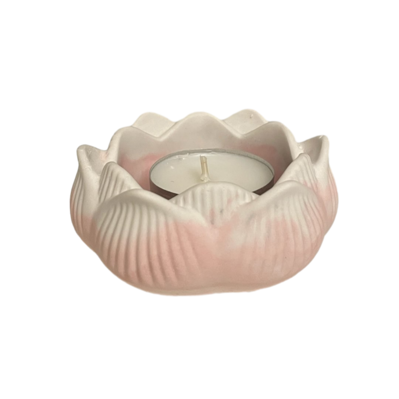 แม่พิมพ์กระถางดอกไม้บัวยิปซั่ม - Idli Steamer Mold บทวิจารณ์และราคา
